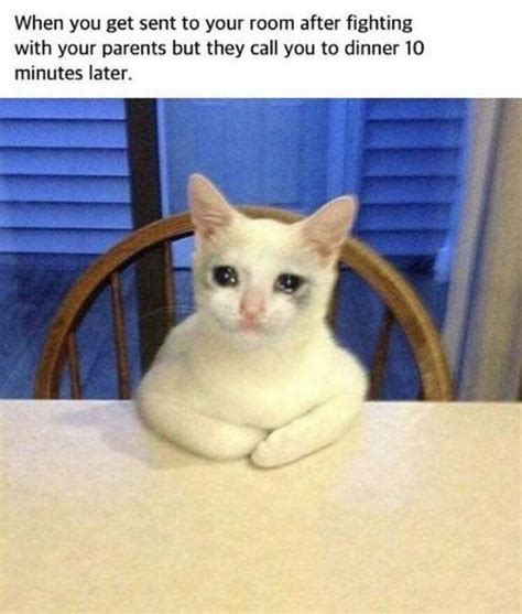 29 Funny Crying Cat Memes Will Make You All Warm and Fuzzy