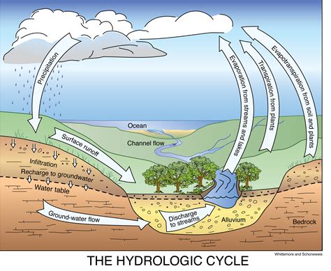 [DIAGRAM] Explain Water Cycle With Diagram - MYDIAGRAM.ONLINE