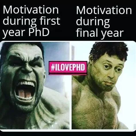 PhD Memes About Research Life | High Impact PhD memes - iLovePhD | Phd memes funny, Phd life, Phd