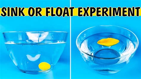 Sink or Float Density Experiment for kids - YouTube