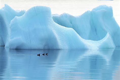 Melting Arctic Iceberg Photograph by Dr P. Marazzi