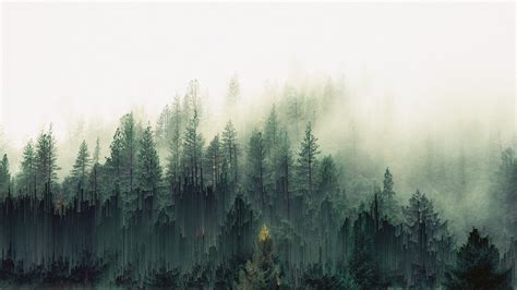 Unique forest Mist Wallpaper | Landscape wallpaper, Green nature wallpaper, Tree desktop wallpaper