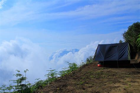 Why Is Munnar Hill Station Very Famous In Kerala? - Real India Tours