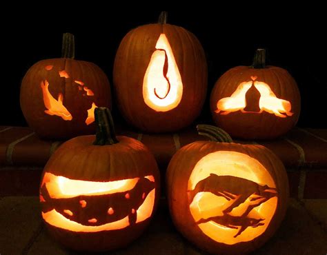 Pumpkin-Carving Stencils | The Marine Mammal Center