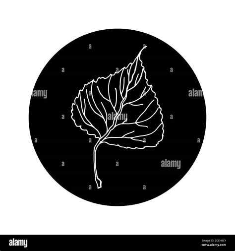 Aspen leaf editable icon in black rounded shape. Sketch hand drawn ...