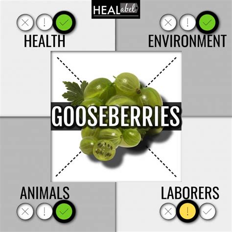 Gooseberry Benefits | Acidic Or Alkaline?