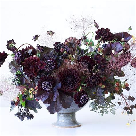 Black Dahlia Flower Arrangement | Images and Photos finder