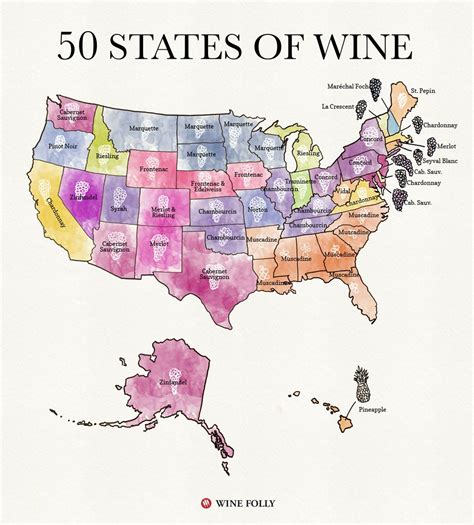 50 States of American Wine Map by Wine Folly | Missouri is known for ...