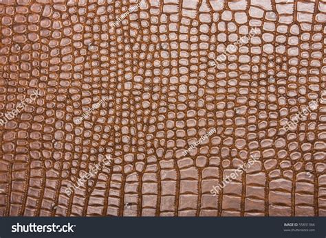 High Resolution Texture. Background. Skin. Stock Photo 55831366 ...