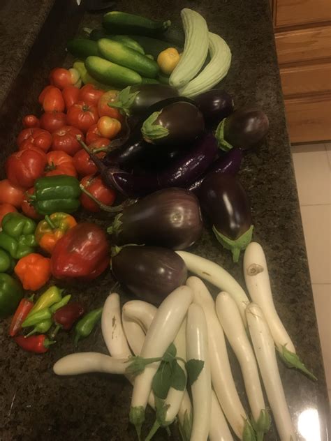 Today’s harvest (any recipes would be greatly appreciated) : r/gardening