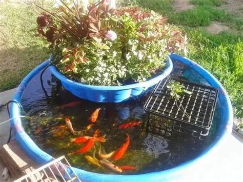 What Diy Aquaponics | DIY Aquaponics