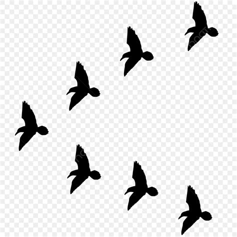 Flying Bird Silhouette Clipart Transparent PNG Hd, Flying Bird Formation Silhouette, Flying Bird ...