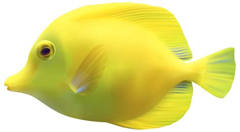 Yellow ZebrasomaTang Fish PNG Clipart - Best WEB Clipart