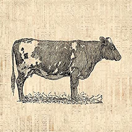 Vintage Cow Drawing at PaintingValley.com | Explore collection of Vintage Cow Drawing