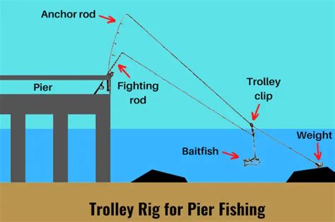 7 Best PIER FISHING RIGS (Setup & Fishing Guide w Pictures)