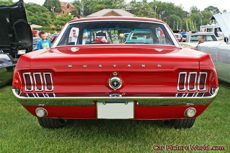 1967 Notchback Mustang Rear