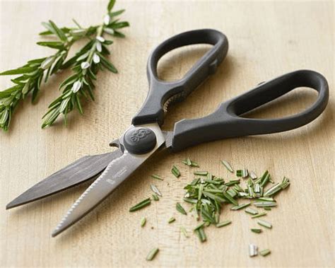 6 Types of Kitchen Scissors to Own and Why