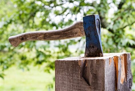 Best Camping Hatchet: Tools You Might Need For Survival