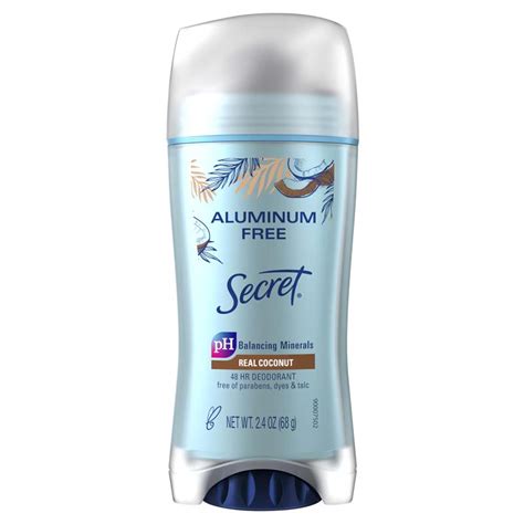 Aluminum Free Dry Spray Secret, 55% OFF | www.pinnaxis.com