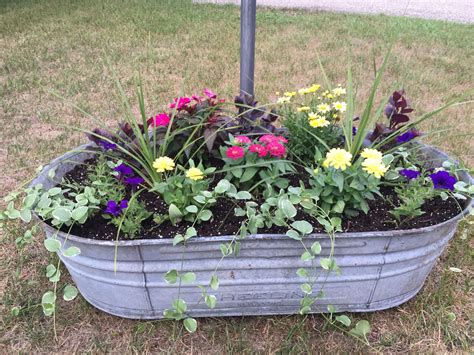 Pin on Gardening Grand in 2024 | Diy container gardening, Container ...