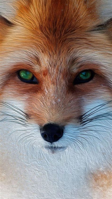 Cool Fox Wallpapers - Top Free Cool Fox Backgrounds - WallpaperAccess