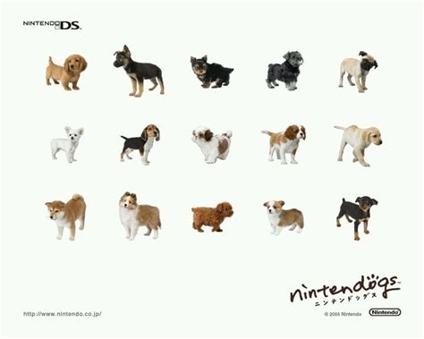 Nintendogs Breeds Quiz - By Jasminewinter140