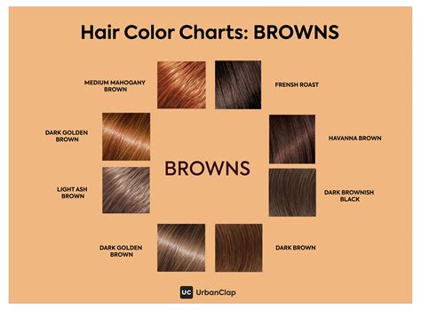 Find the right shade of brown hair colour for glossy brunette locks in this post, based on your ...