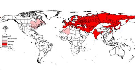 Gypsy Moth World Map