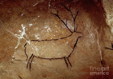 Prehistory , A Deer Upper Paleolithic Cave Painting Photograph by Prehistoric - Fine Art America