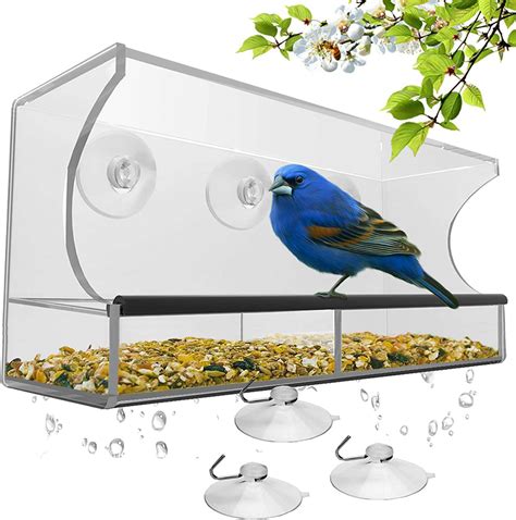 The 8 Best Squirrel-Proof Bird Feeders of 2021