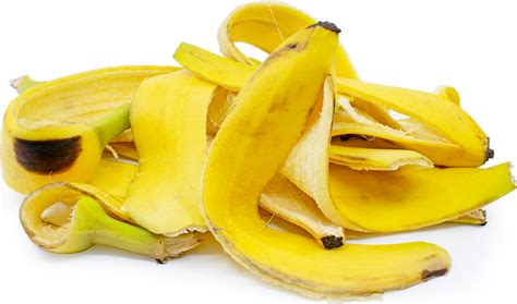 Banana Peels Information and Facts