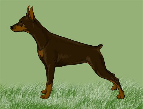 5 Easy Ways to Draw a Dog (with Pictures) - wikiHow