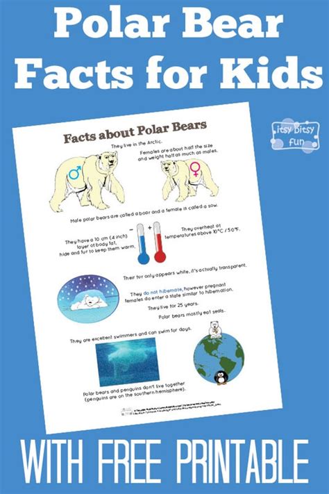 Printable Polar Bear Facts