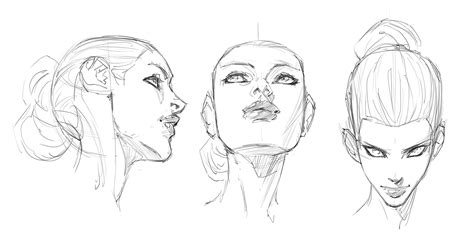 Female Face Anatomy Drawing - DRAWING IDEAS