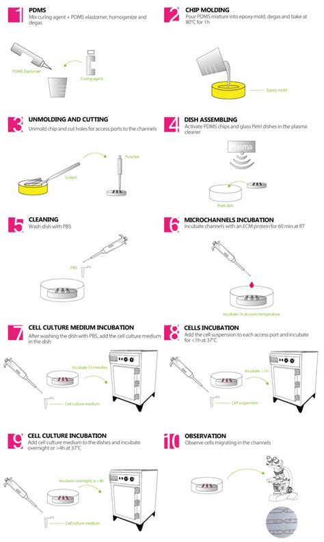 Microchannels Fabrication Kit - 4Dcell