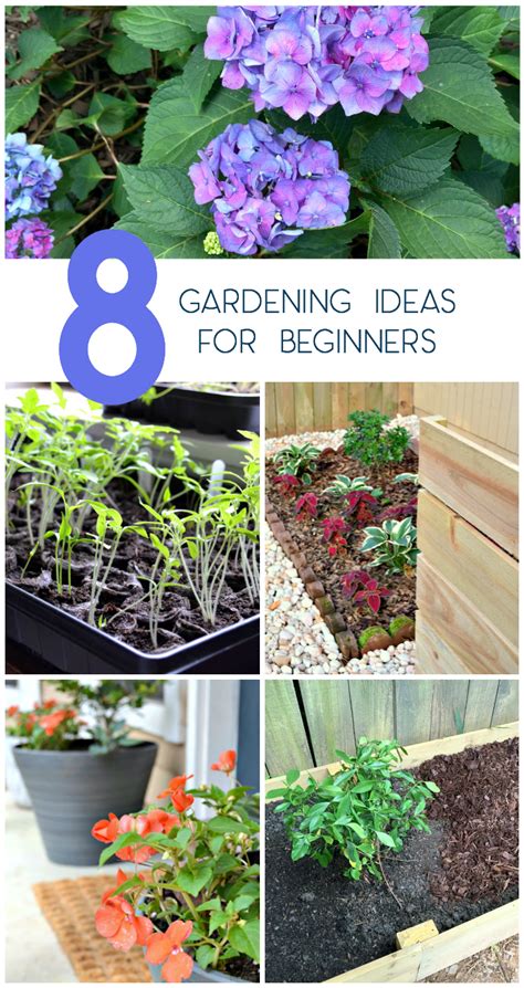 gardening ideas for beginners - Simple Gardening Tips and Tricks For Beginners That Work - Blog ...