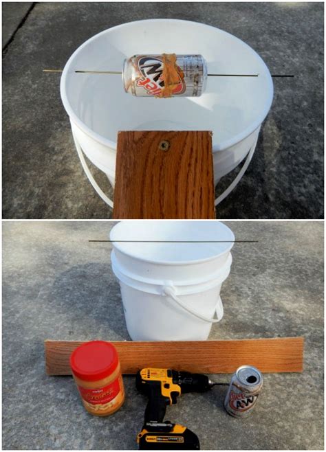 Homemade Mouse Trap (15 DIY Rat Traps that Really Work)