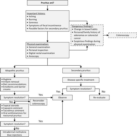 Diagnostics and treatment algorithm of pruritus ani | Download ...