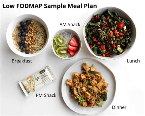 Low Fodmap High Fiber Foods - tipslytical