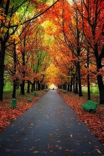 Autumn trees in park with colorful leaves | Beautiful nature pictures, Nature pictures, Autumn ...