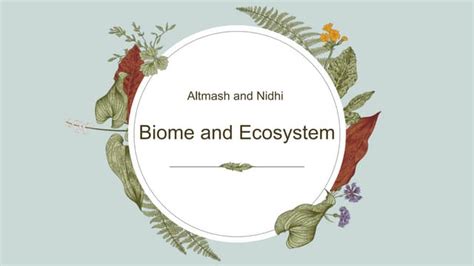 Biome and Ecosystem.pptx