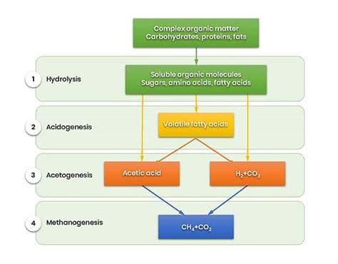 What is biogas and where does it come from? - Biovoima