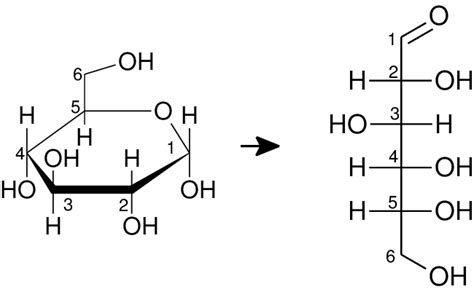 Scheme 2 Ring opening of glucose molecule. Carbon atoms are labelled... | Download Scientific ...