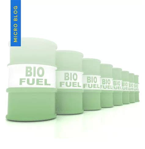 What is biofuel? - What is the example of using biofuels?