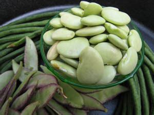 Sitaw, Bataw at Patani / Yard Long, Lablab & Lima Beans - Market Manila