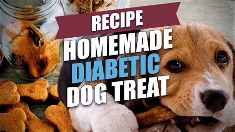 Recipes For Diabetic Dog Treats | Besto Blog