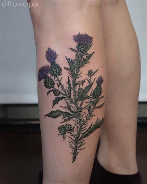 Thistle tattoo - Tattoogrid.net