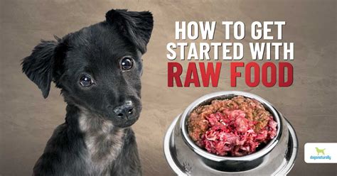 Raw Dog Food: 6 Simple Rules To Get Started - Dogs Naturally