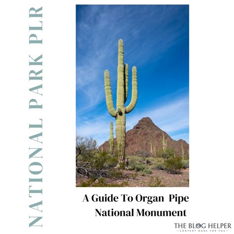 Guide To Organ Pipe National Monument - The Blog Helper