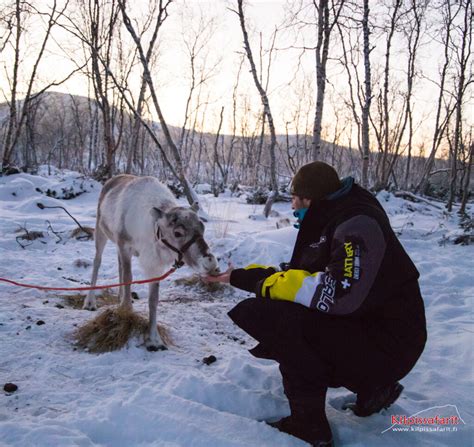 Sámi Culture and Reindeer Herding - Kilpissafarit